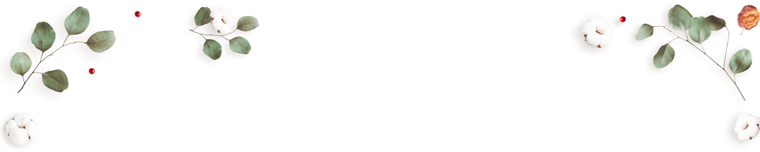 https://carolepablo.com.br/wp-content/uploads/2020/10/floating_image_02.png