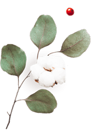 https://carolepablo.com.br/wp-content/uploads/2020/10/floating_image_06.png