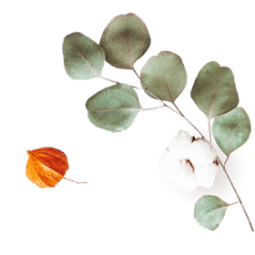 https://carolepablo.com.br/wp-content/uploads/2020/10/floating_image_07.png