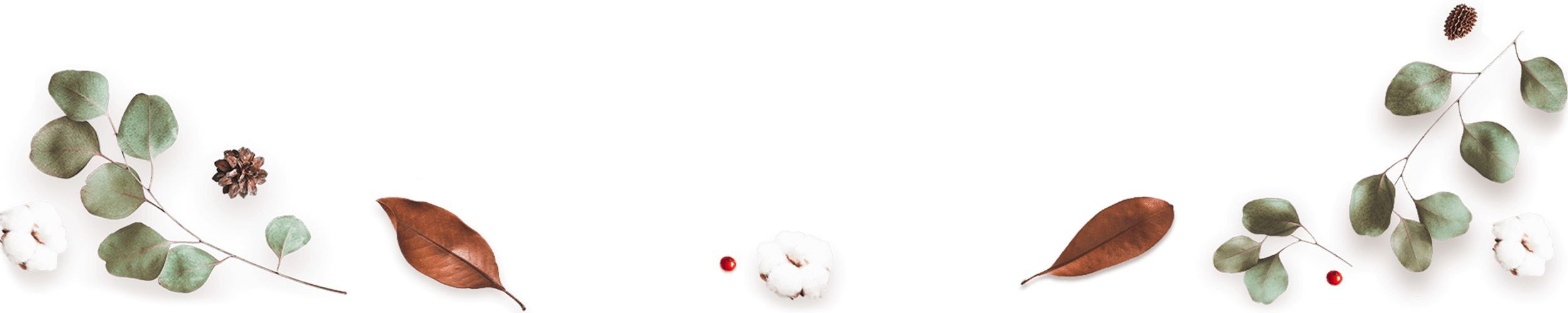 https://carolepablo.com.br/wp-content/uploads/2020/12/floating_image_03.png