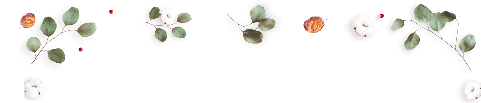 https://carolepablo.com.br/wp-content/uploads/2020/12/floating_image_12.png