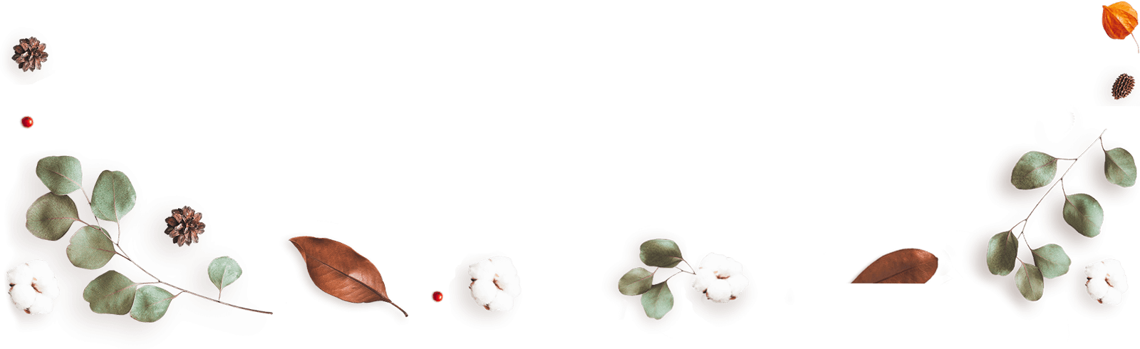https://carolepablo.com.br/wp-content/uploads/2020/12/floating_image_13.png
